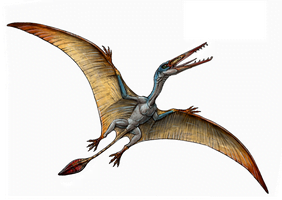 IELTS GT Reading - Pterosaur